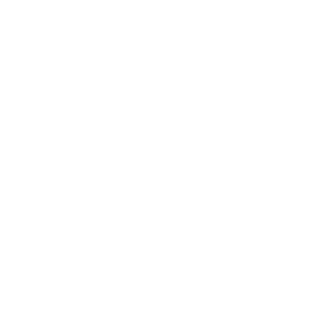 Handyman Services Repair